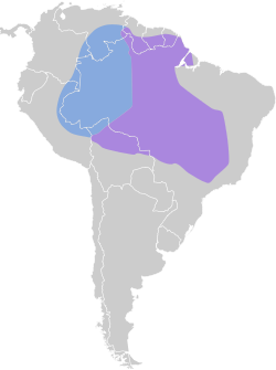 Distribución geográfica del tirano gorgiblanco.