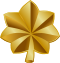 Gold oak leaf