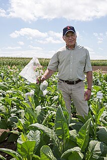 Donald R. Ort American botanist and biochemist