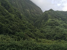 Vallée de Papenoo.jpg