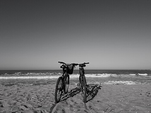 Vamos hoje para a praia de bicicleta?