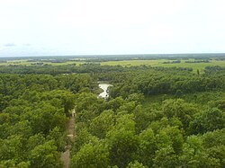 মধুটিলা ইকোপার্ক