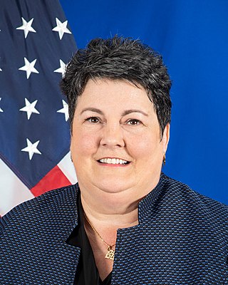 <span class="mw-page-title-main">Virginia E. Palmer</span> American diplomat (born 1963)