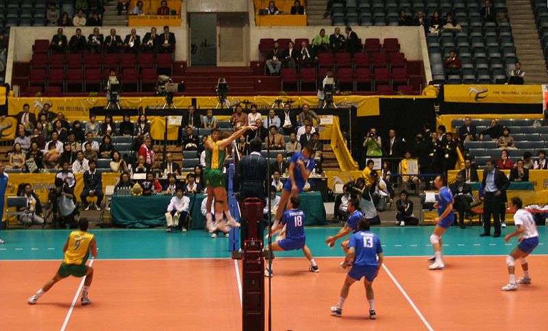 File:Volleyball WC 2006 Brazil vs Serbia.jpg