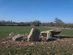 Illustrativt billede af artiklen Dolmen des Îles