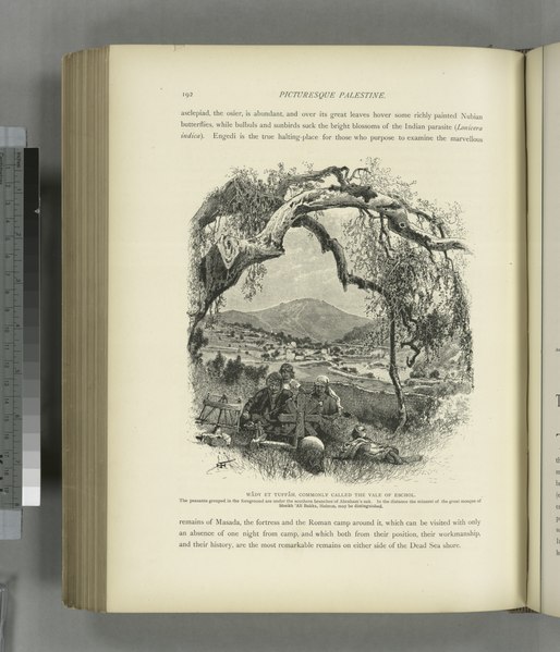 File:Wâdy et Tuffâh, commonly called the vale of Eschol. The peasants grouped in the foreground are under the southern branches of Abraham's oak. In the distance the minaret of the great mosque (NYPL b10607452-80688).tiff
