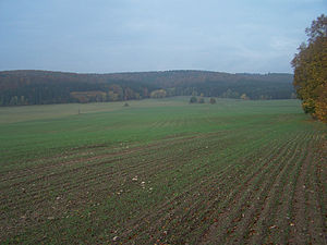 Northern edge of the Springer Höhe (left), behind it the Lange Rück at Frauensee