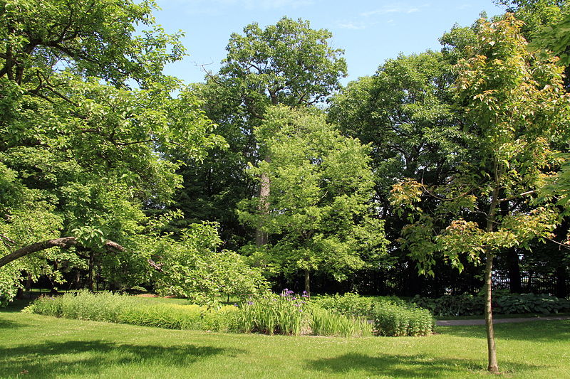 File:WPQc-181 Parc du Bois-de-Coulonge.JPG