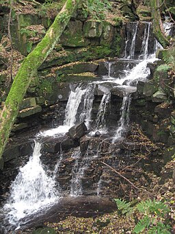 Waterfall above Stubbins at Buckden Wood - geograph.org.uk - 277637