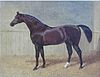 1810 Epsom Derby winner and sire, Whalebone