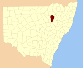 Белый NSW.PNG