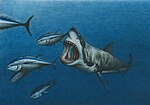 Thumbnail for File:White shark hunting a school of bluefin tuna V5.jpg