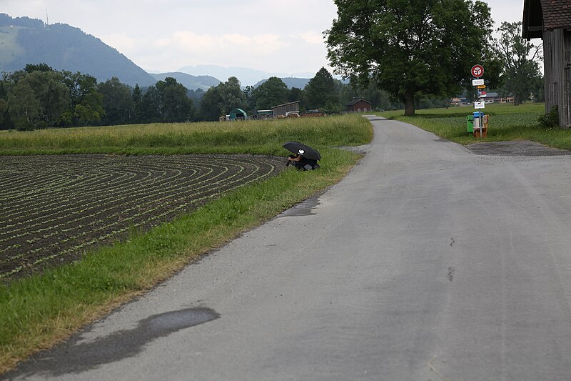 File:Wikiolo in Liechtenstein (605).jpg