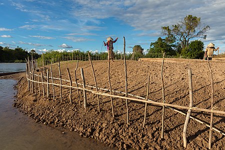 Wooden fence on a Mekong bank, around a small cultivated island