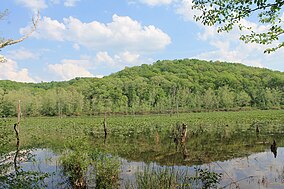 Zaleski State Forest