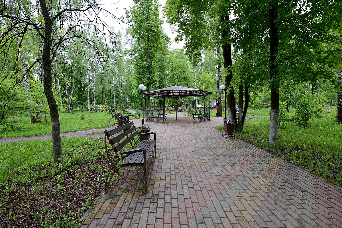 пушкино парк печать