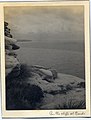 'On the Cliffs at Bondi' RAHS-Osborne Collection (14090617073).jpg