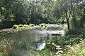 Čeština: Řeka Želivka u Poříčí, Křelovice, okr. Pelhřimov. English: Želivka river near Poříčí, Křelovice, Pelhřimov District.