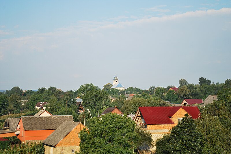 File:Краєвид села Боронява.jpg