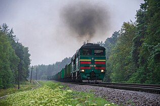 2ТЕ116-990 з вантажним поїздом поблизу станції Скрягівка