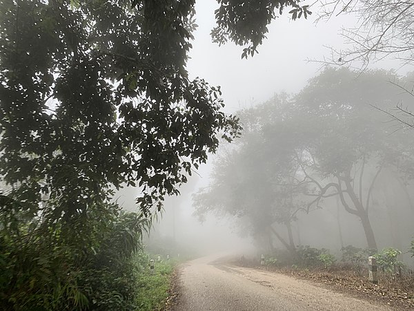 A road through Doi Chang Mup along Myanmar–Thailand border of Daen Lao in Chiang Rai Province
