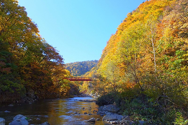 File:定山渓散策路(Jozankei walkway) - panoramio (5).jpg