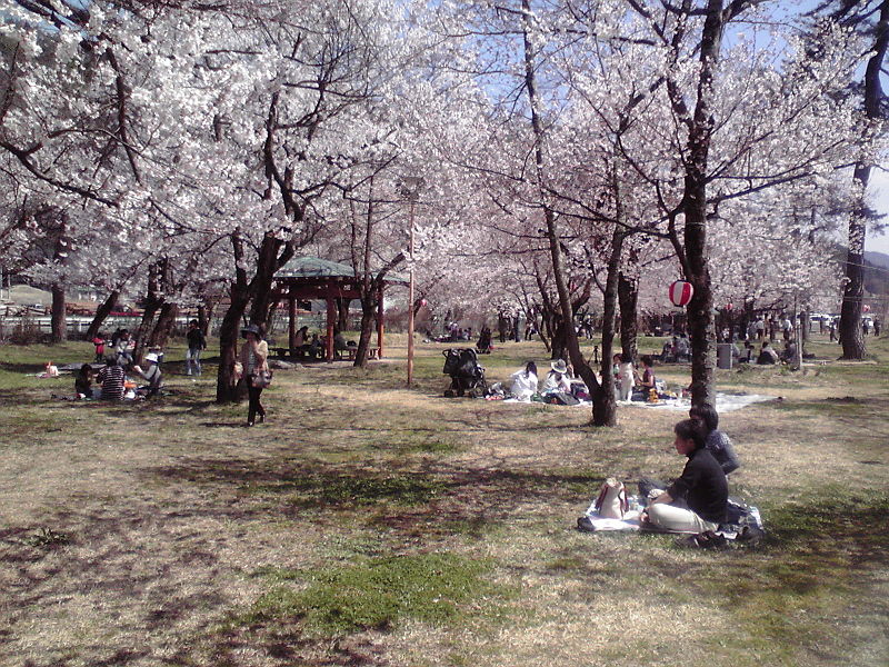 File:桜野公園2009041212330001.jpg