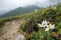 2019年9月7日 (土) 13:29時点における版のサムネイル