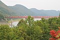 紅葉の橋 - panoramio.jpg