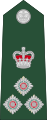 Brigadier general(Barbados Regiment) 