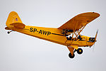 20120902 Piper J-3 Cub SP-AWP Krakow 9071.jpg
