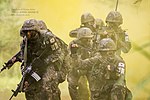 2014.6.18 육군 3사단 수색정찰훈련 Reconnaissance training of Republic of Korea Army 3rd Division (14298077078).jpg