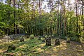 Deutsch: Jüdischer Friedhof beim Dörzbacher Ortsteil Laibach im Gegenlicht English: Jewish cemetery near Dörzbach-Laibach, Germany