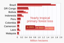 Home to much of the Amazon rainforest, Brazil's tropical primary (old-growth) forest loss greatly exceeds that of other countries.[39]