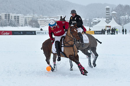 ไฟล์:30th St. Moritz Polo World Cup on Snow - 20140202 - Cartier vs Ralph Lauren 11.jpg