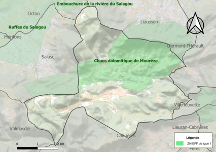 Carte de la ZNIEFF de type 1 sur la commune.