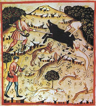 <span class="mw-page-title-main">Boar hunting</span>