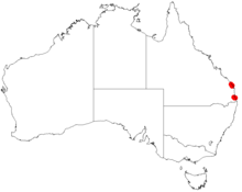 Acacia perangustaDistMap684.png