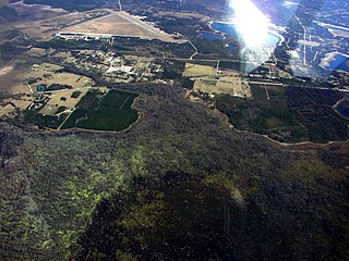 <span class="mw-page-title-main">Santa Fe Swamp</span>