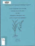 Thumbnail for File:An illustrated guide to the special status plants of the Shoshone Resource Area (Upper Snake River District) (IA illustratedguide70mccl).pdf