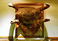 A sinistra il teschio di un toro utilizzato nelle cerimonie religiose rinvenuta a Çatalhöyük (Turchia) e risalente al Neolitico. A destra il teschio di un bisonte risalente al XIX secolo, utilizzato nelle cerimonie religiose delle tribù dei nativi americani Arapaho.