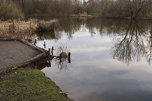 Annateich in Hermann-Löns-Park in Hanover IMG 6773.jpg