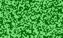 The Anneal cellular automaton, 1600 steps after a random start Anneal CA.png