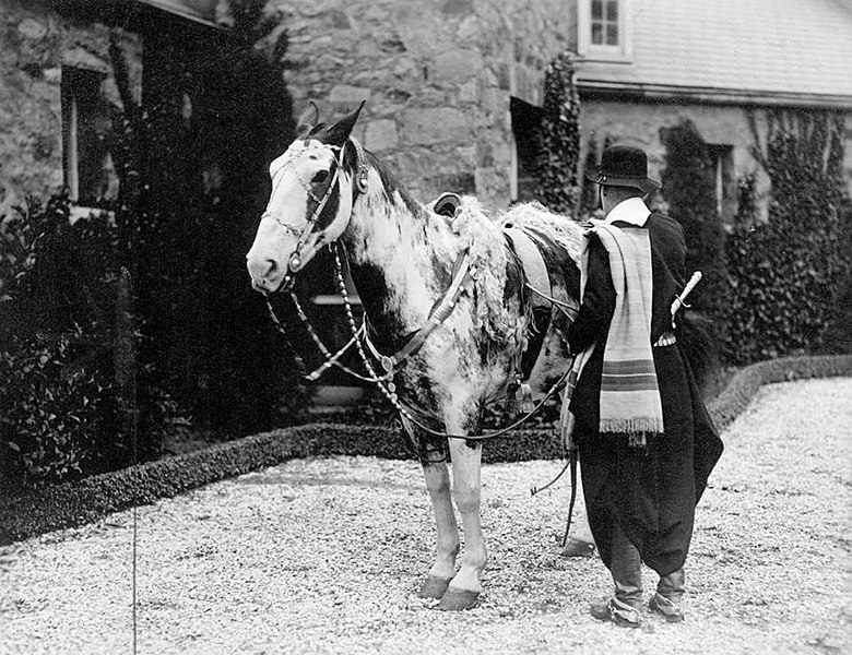 File:Archivo General de la Nación Argentina 1927 cabalgata en caballos criollos. gato y mancha con Aimé Félix Tschiffely