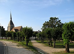 Skyline of Argent-sur-Sauldre