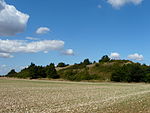 Assais-les-Jumeaux tumulus Motte Puytaillé (1). JPG