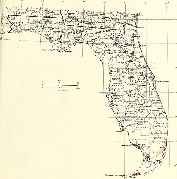 File:Atlas of United States trees- volume 5. Florida (1361) (19722412934).jpg