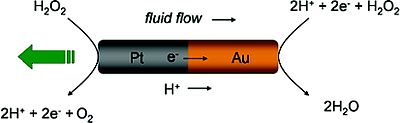 An example of a SPP: a gold-platinum nanorod which undergoes self-propulsion in hydrogen peroxide due to self-electrophoretic forces. AuPtnanomotor.jpg