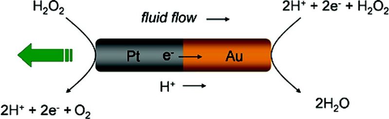 File:AuPtnanomotor.jpg