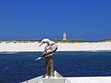 Baker Island